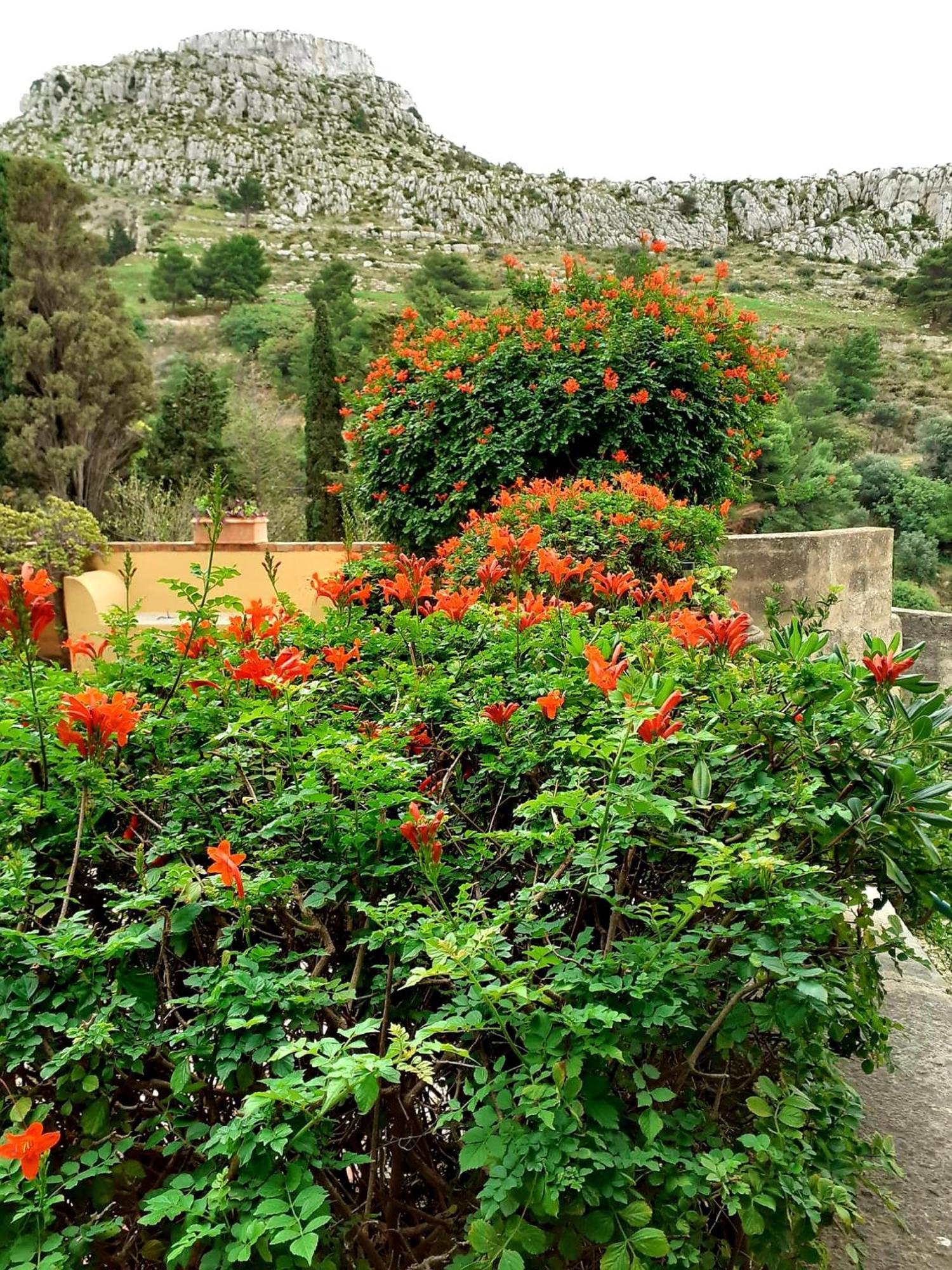 Willa Casa "Le Terrazze" Erice Zewnętrze zdjęcie