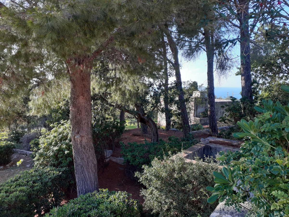 Willa Casa "Le Terrazze" Erice Zewnętrze zdjęcie